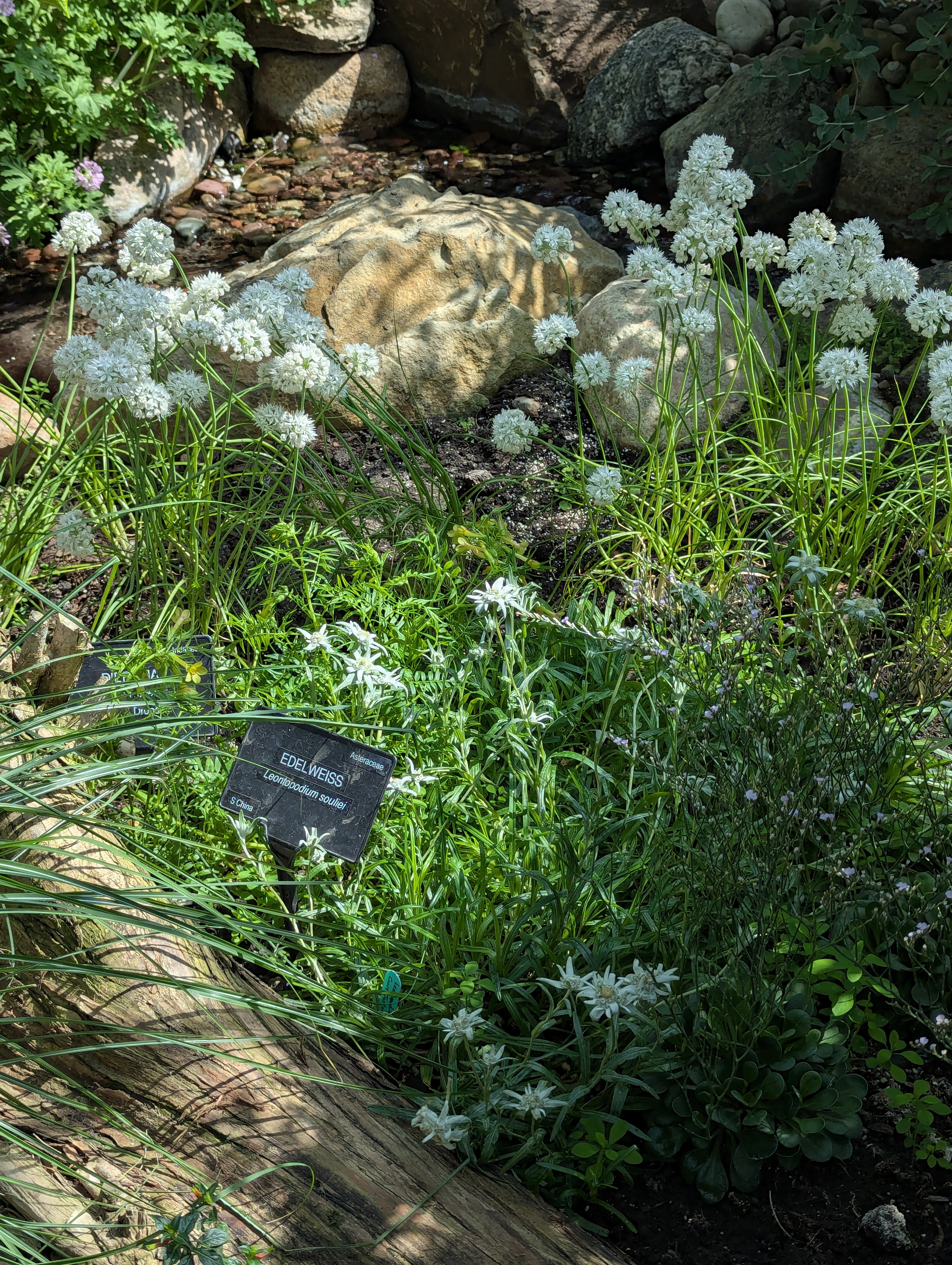 Birthday Trip to Canada, Edmonton, Pyramids, Muttart Observatory